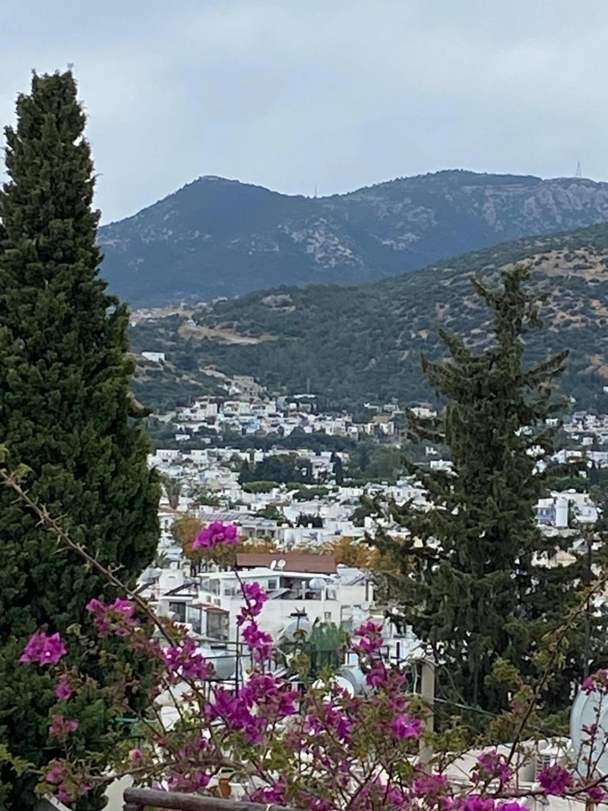 בודרום Izan Villa Bakis Apartments מראה חיצוני תמונה